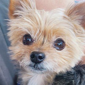 Meet your Posher, Jeff